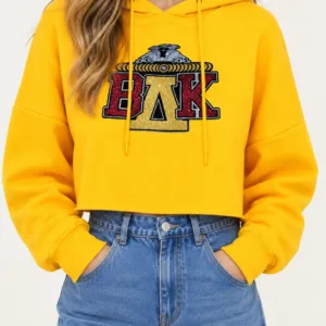 Beyonce Coachella Crop Hoodie