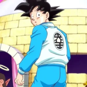 Dragon Ball Z Goku Blue Tracksuit Back